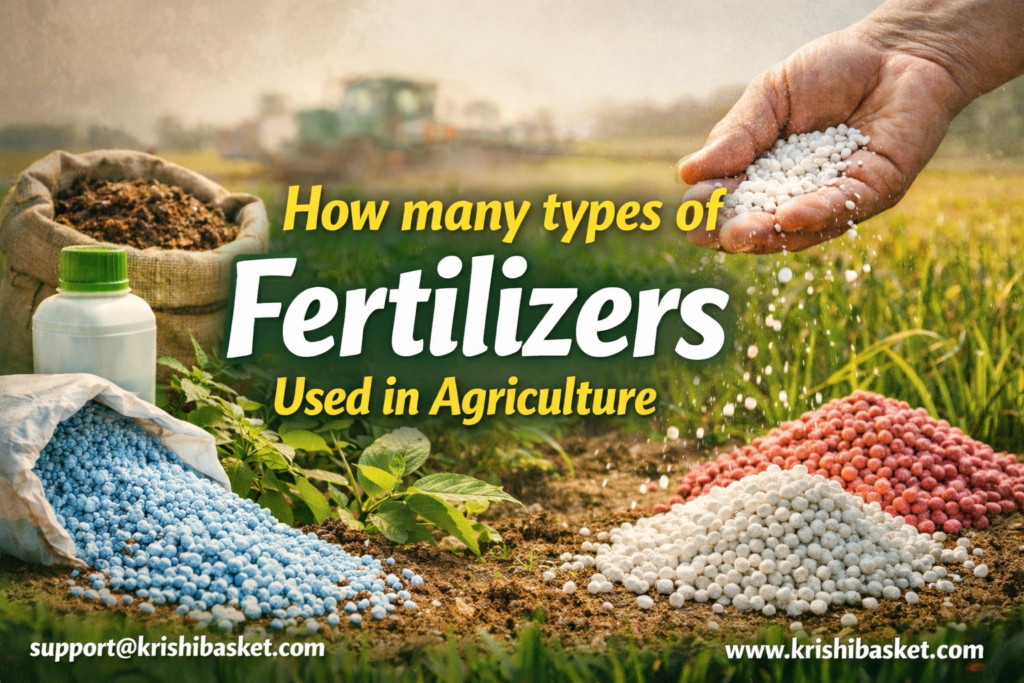 How Many Types of Fertilizers Used in Agriculture