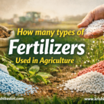 How Many Types of Fertilizers Used in Agriculture