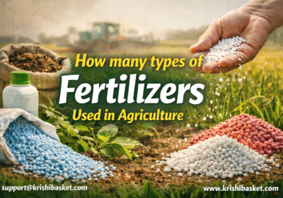 How Many Types of Fertilizers Used in Agriculture