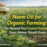Neem Oil for Organic Farming The Natural Pest Control Solution Every Farmer Should Know