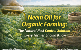 Neem Oil for Organic Farming The Natural Pest Control Solution Every Farmer Should Know