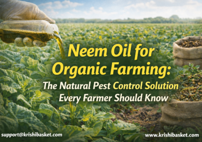 Neem Oil for Organic Farming The Natural Pest Control Solution Every Farmer Should Know