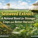 Seaweed Extract A Natural Boost for Stronger Crops and Better Harvests