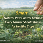 Smart Natural Pest Control Methods Every Farmer Should Know