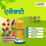 05c5c0cbe75cb34abecbcde76ab12987-07-18-25-09-25-34.webp