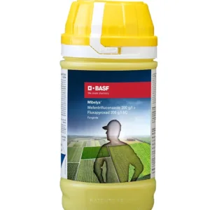 BASF Mibelya Fungicide, Effective For Sheath Blight Control In Paddy Crops