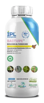 12095943351732773205.webp