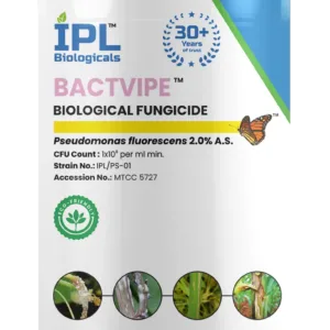 IPL Bactvipe Pseudomonas Fluorescens 2.0% A.S Biological Fungicide, Effectively Controls a Wide Range of Bacterial and Fungal Diseases