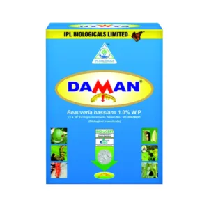 IPL Daman Beauveria Bassiana Bio Insecticide, Effective Control of Root Borer, Caterpillars & Sucking Pests
