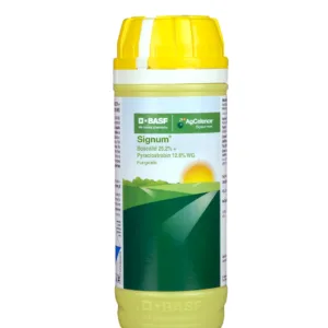 BASF Signum Boscalid 25.2% + Pyraclostrobin 12.8% WG Fungicide, Effective For Fruit & Vegetable Crops