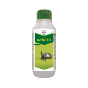 Bayer Infinito Fungicide