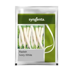 Syngenta Ivory White Radish Seeds
