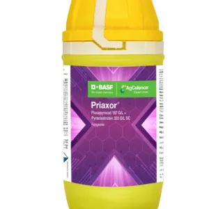 BASF Priaxor Pyraclostrobin 167+ Fluxapyroxad 333 Fungicide, Leads to Higher Crop Yields & Quality