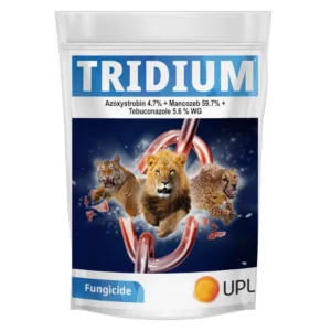 UPL TRIDIUM Azoxystrobin 4.7% + Mancozeb 59.7% + Tebuconazole 5.6% WG Gives Excellent Control of all Major Fungi Classes