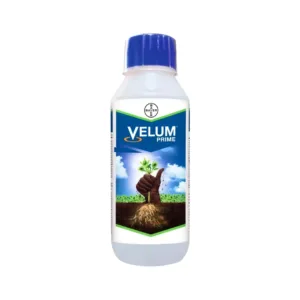 Bayer Velum Prime Nematicide