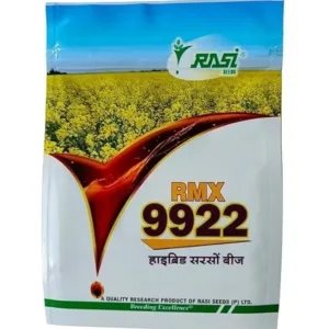 Rasi RMX 9922 Hybrid Mustard Seeds, Sarso Ke Beej, Fast-Growing and Higher Yield Variety