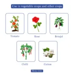 d642c8a5432474998eb90a27935ac946-04-04-25-14-25-24.webp