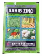 fb6772066506d875d83041ffb3fe7a46-12-02-23-09-46-28.webp